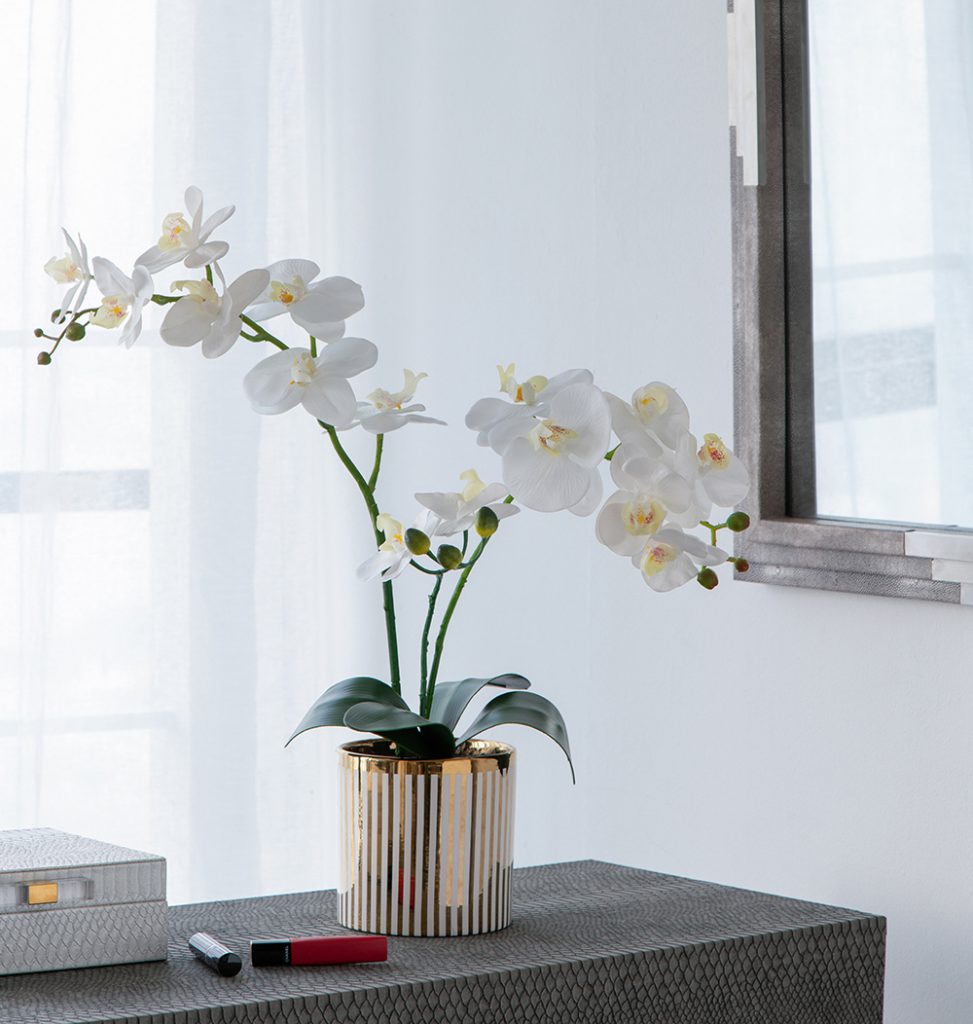 White Orchid in Gold Striped Pot